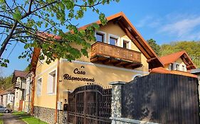 Casa Rasnoveana